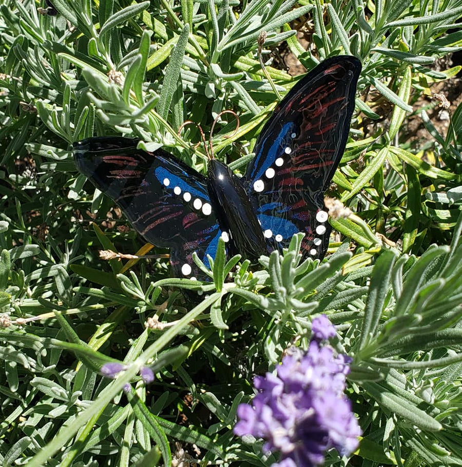 Glass Butterfly #5 -Blue/Pink, Small