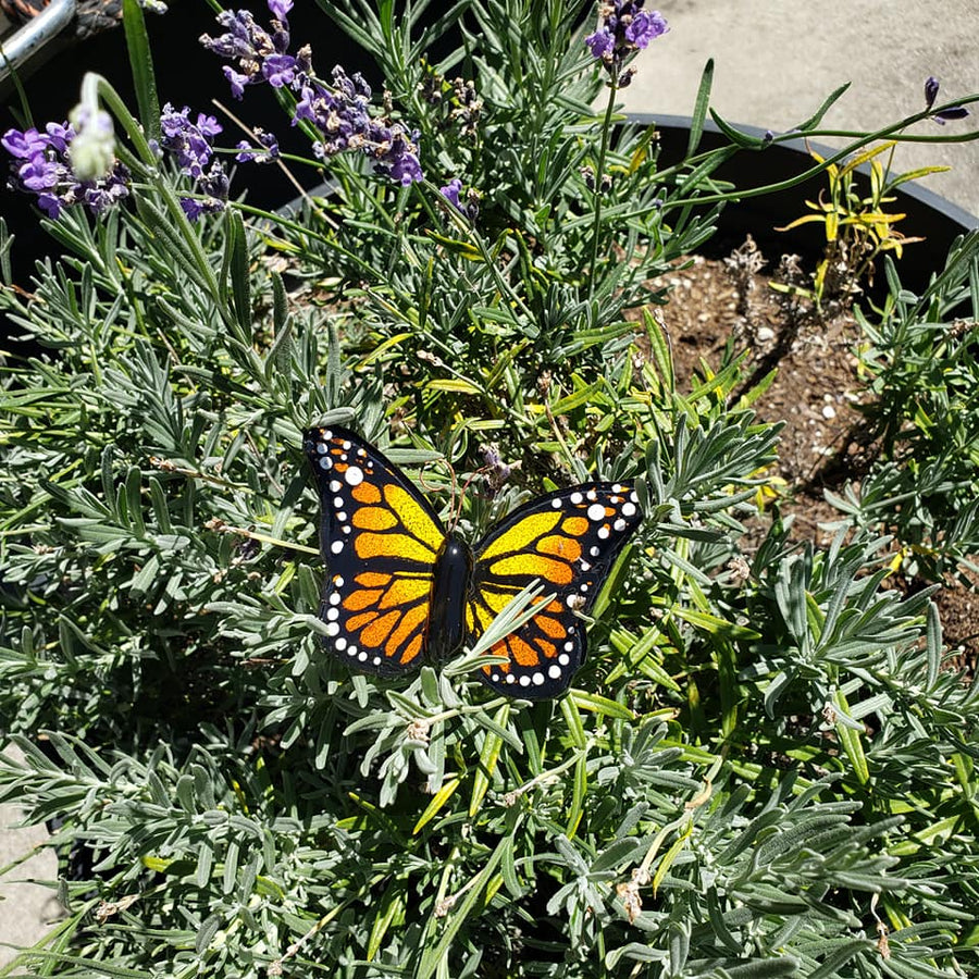 Glass Butterfly #1 - Yellow/Orange, Small